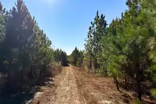 0 Mill Creek, Bethune, SC 29009 - Photo 7