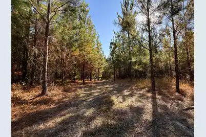 0 Mill Creek, Bethune, SC 29009 - Photo 13