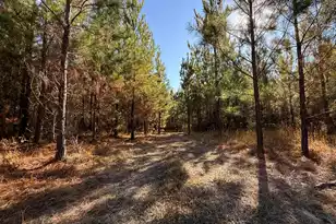 0 Mill Creek, Bethune, SC 29009 - Photo 13