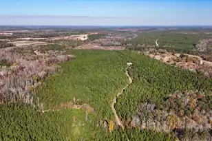 0 Mill Creek, Bethune, SC 29009 - Photo 23