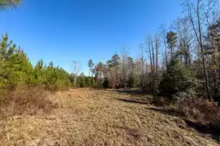0 Mill Creek, Bethune, SC 29009 - Photo 11