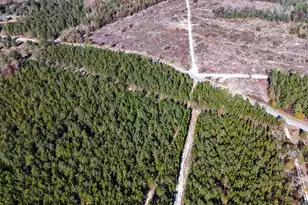 0 Mill Creek, Bethune, SC 29009 - Photo 21