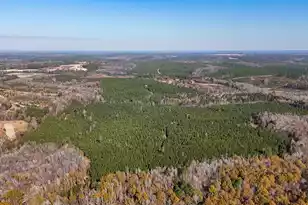 0 Mill Creek, Bethune, SC 29009 - Photo 19