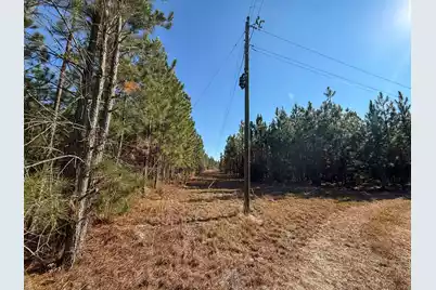 0 Mill Creek, Bethune, SC 29009 - Photo 9