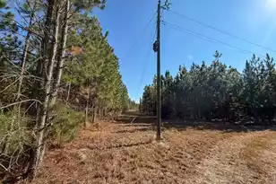 0 Mill Creek, Bethune, SC 29009 - Photo 9