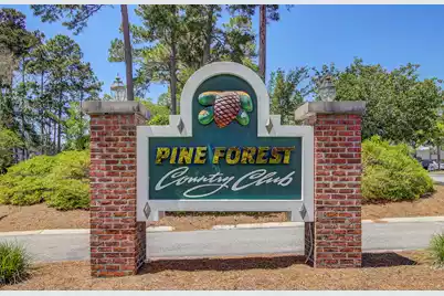 101 Presidio Bend, Summerville, SC 29483 - Photo 45