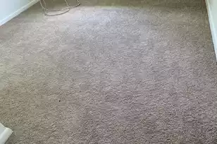 205 Pinewood Dr, Summerville, SC 29483 - Photo 19