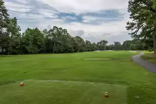 1003 Ventura Pl, Mount Pleasant, SC 29464 - Photo 63