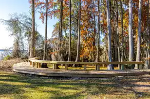 3270 Princess Pond Rd, Summerton, SC 29148 - Photo 191