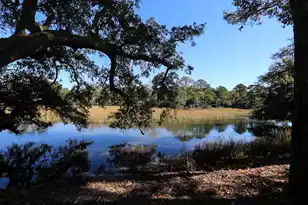 58 Indigo Point Dr, Charleston, SC 29407 - Photo 59