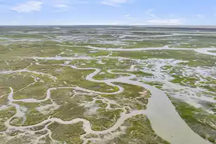 1014 Capersview Ct, Awendaw, SC 29429 - Photo 41