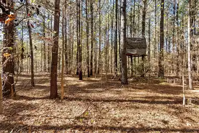 170 Mill Branch Road, Orangeburg, SC 29118 - Photo 55