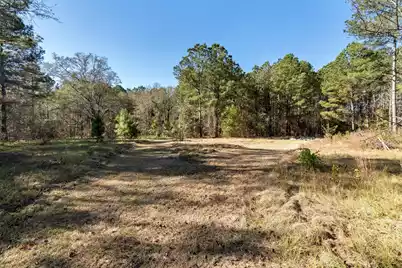 170 Mill Branch Road, Orangeburg, SC 29118 - Photo 53