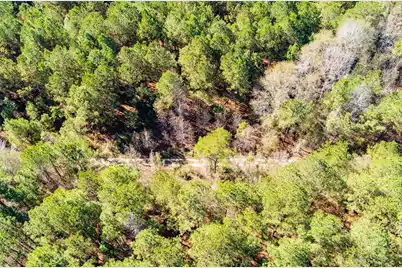 170 Mill Branch Road, Orangeburg, SC 29118 - Photo 59