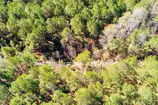 170 Mill Branch Rd, Orangeburg, SC 29118 - Photo 59