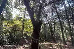 2486 Bald Eagle Ln, Johns Island, SC 29455 - Photo 31