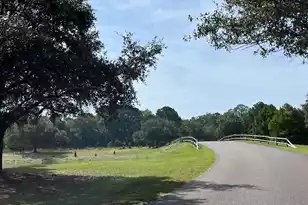 2486 Bald Eagle Ln, Johns Island, SC 29455 - Photo 37