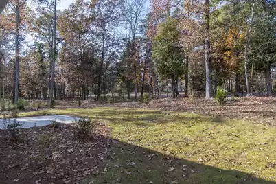 530 Misty Banks Drive, Chapin, SC 29036 - Photo 75