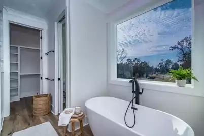 530 Misty Banks Drive, Chapin, SC 29036 - Photo 17