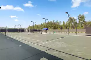 366 Tupelo Lake Dr, Summerville, SC 29486 - Photo 95