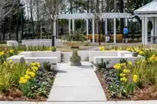 124 Sea Oat St, Summerville, SC 29485 - Photo 15