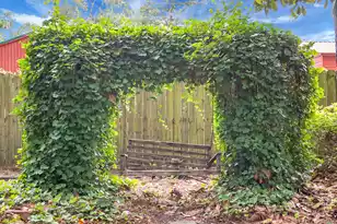 427 Grape Arbor Dr, Summerville, SC 29486 - Photo 57