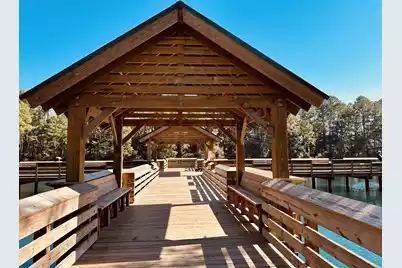 230 Congaree River Drive, Summerville, SC 29485 - Photo 47