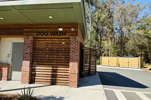 230 Congaree River Dr, Summerville, SC 29485 - Photo 51