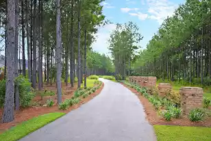 365 Tiliwa St, Summerville, SC 29486 - Photo 11