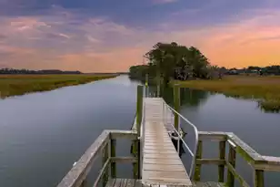 105 Winding Creek Ct, Mount Pleasant, SC 29464 - Photo 3