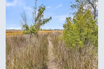 1636 Saint Johns Parrish Way, Johns Island, SC 29455 - Photo 33