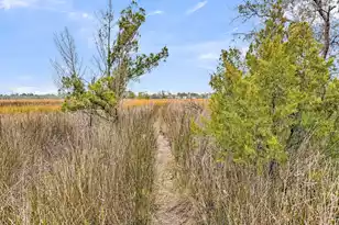 1636 St Johns Parrish Way, Johns Island, SC 29455 - Photo 33