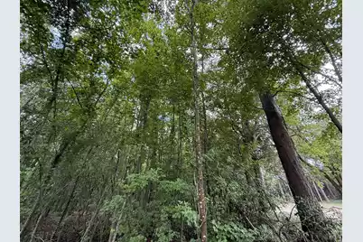 0000 Live Oak Lane, Barnwell, SC 29812 - Photo 3