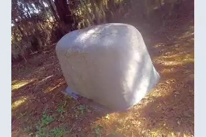 2422 Highway 174, Edisto Island, SC 29438 - Photo 41