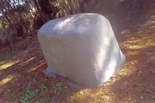 2422 Hwy 174, Edisto Island, SC 29438 - Photo 41