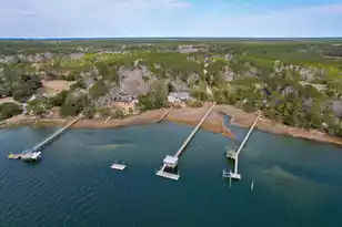 820 Pineneedle Way, Charleston, SC 29492 - Photo 83