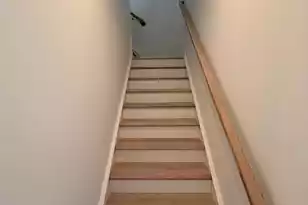 244 Clearpath Dr, Summerville, SC 29486 - Photo 35