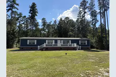119 Penny Creek Drive, Ruffin, SC 29475 - Photo 1