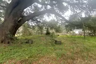 47 Nottingham Ln, Yemassee, SC 29945 - Photo 23