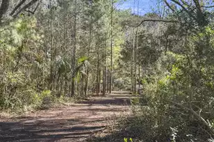 5528 Chisolm Rd, Johns Island, SC 29455 - Photo 25