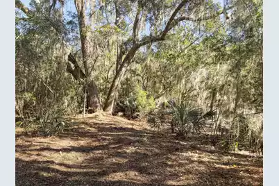 5528 Chisolm Road, Johns Island, SC 29455 - Photo 29