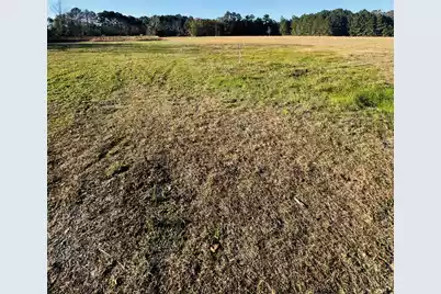 0 Bishopville Road, Saint George, SC 29477 - Photo 5