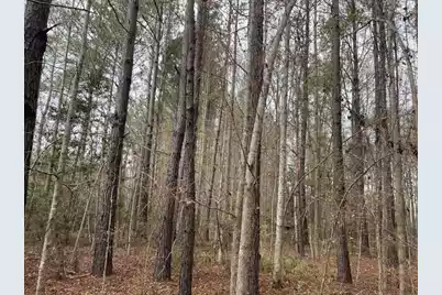 0 Dodge Lane, Round O, SC 29474 - Photo 3