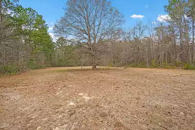 4567 Can City Road, Walterboro, SC 29488 - Photo 25