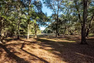 6976 Maybank Highway, Wadmalaw Island, SC 29487 - Photo 91