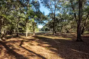 6976 Maybank Hwy, Wadmalaw Island, SC 29487 - Photo 91