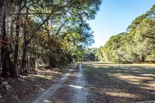 6976 Maybank Hwy, Wadmalaw Island, SC 29487 - Photo 93