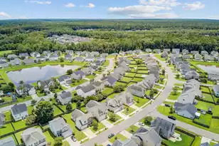 326 Drayton Pl Dr, Moncks Corner, SC 29461 - Photo 41