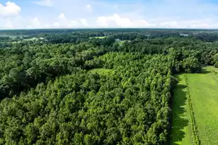 0 Oakville Rd, Hollywood, SC 29449 - Photo 1