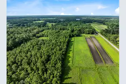 0 Oakville Road, Hollywood, SC 29449 - Photo 5